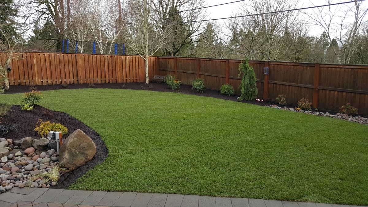 When to Apply Fertilizer