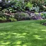 Backyard artificial grass
