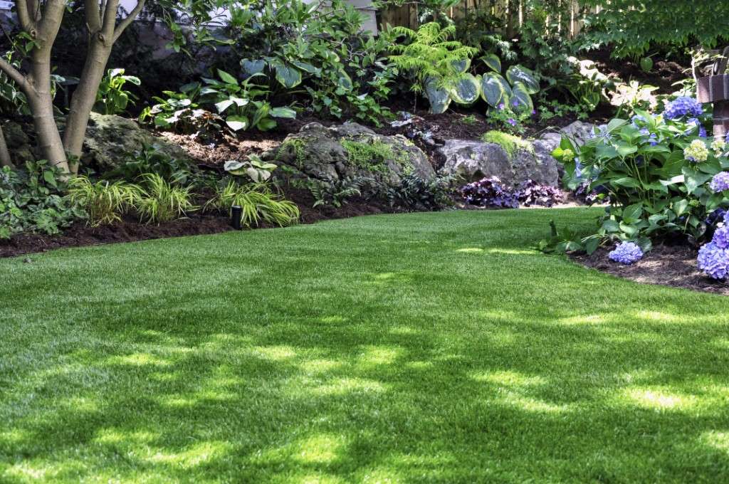 The Benefits of Over-Seeding Your Lawn