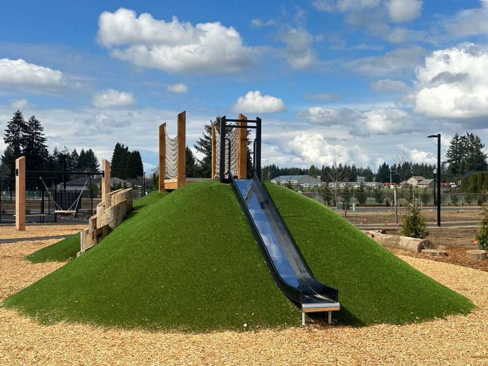 Front yard artificial grass
